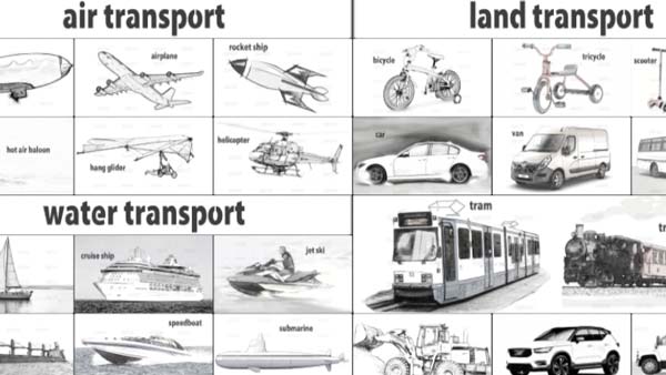 Transport
